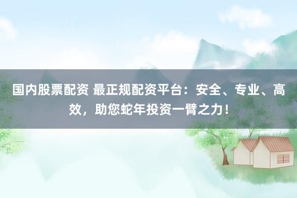 国内股票配资 最正规配资平台：安全、专业、高效，助您蛇年投资一臂之力！