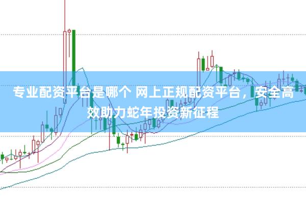 专业配资平台是哪个 网上正规配资平台，安全高效助力蛇年投资新征程