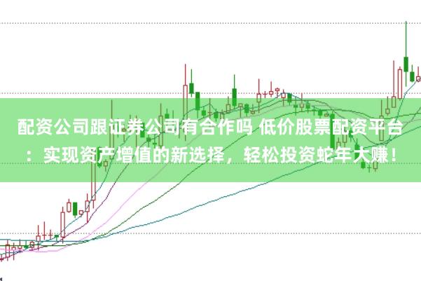 配资公司跟证券公司有合作吗 低价股票配资平台：实现资产增值的新选择，轻松投资蛇年大赚！