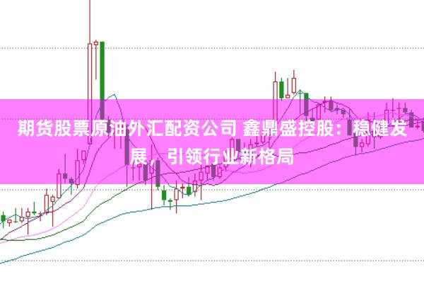 期货股票原油外汇配资公司 鑫鼎盛控股：稳健发展，引领行业新格局
