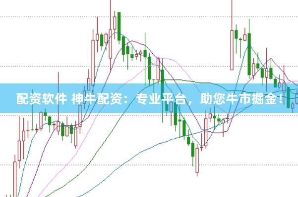 配资软件 神牛配资：专业平台，助您牛市掘金！