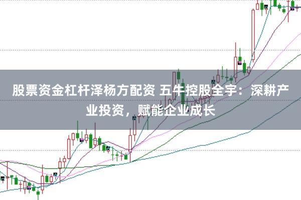 股票资金杠杆泽杨方配资 五牛控股全宇：深耕产业投资，赋能企业成长