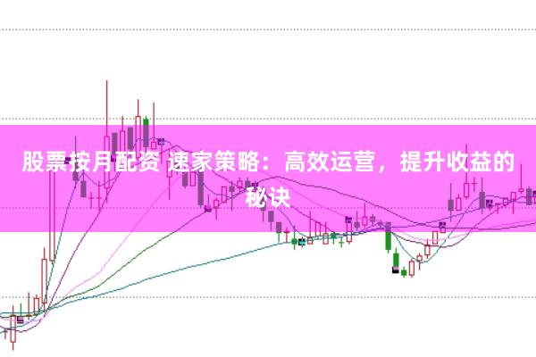 股票按月配资 速家策略：高效运营，提升收益的秘诀
