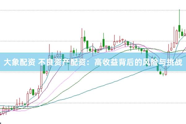 大象配资 不良资产配资：高收益背后的风险与挑战