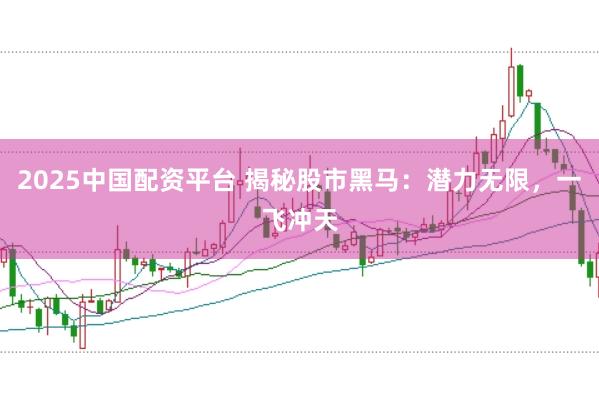 2025中国配资平台 揭秘股市黑马：潜力无限，一飞冲天