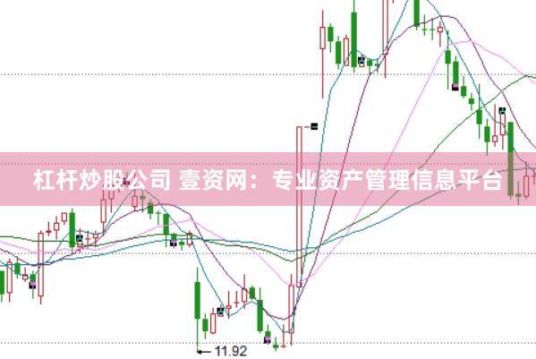 杠杆炒股公司 壹资网：专业资产管理信息平台