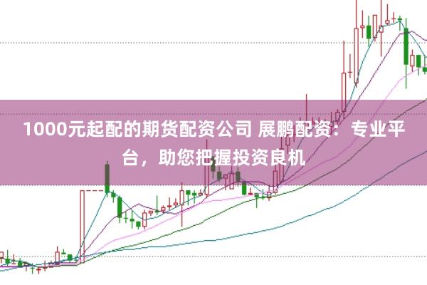 1000元起配的期货配资公司 展鹏配资：专业平台，助您把握投资良机