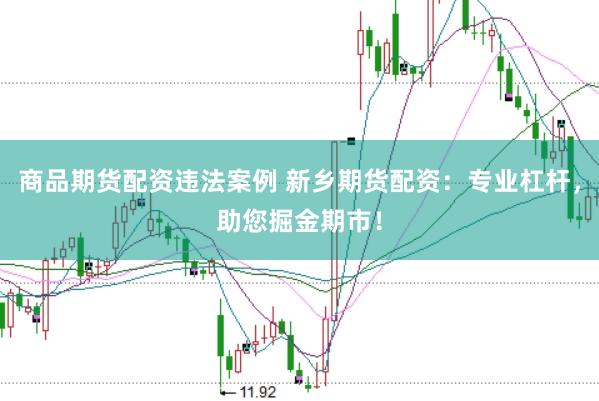 商品期货配资违法案例 新乡期货配资：专业杠杆，助您掘金期市！