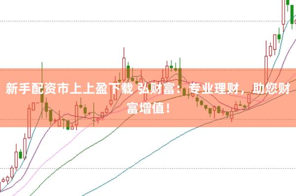 新手配资市上上盈下载 弘财富：专业理财，助您财富增值！