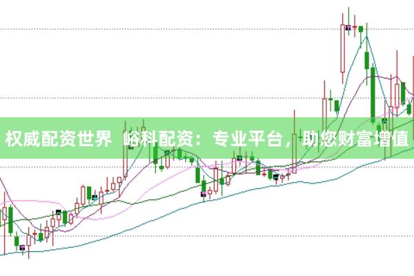 权威配资世界  峪科配资：专业平台，助您财富增值