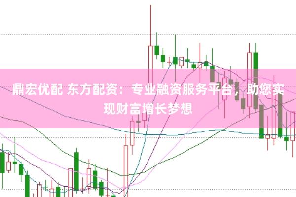 鼎宏优配 东方配资：专业融资服务平台，助您实现财富增长梦想