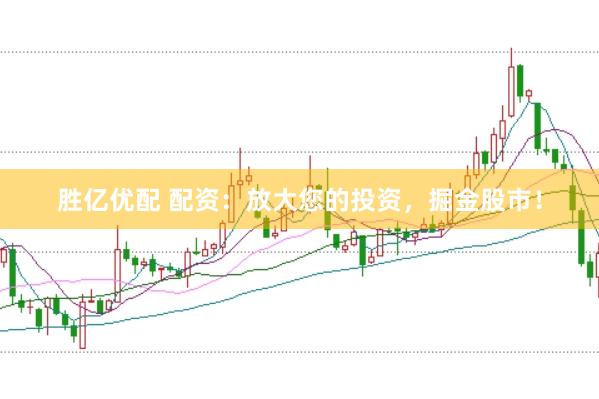 胜亿优配 配资：放大您的投资，掘金股市！