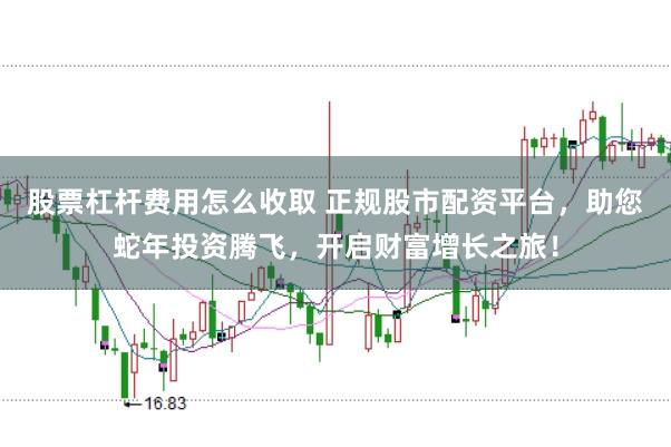 股票杠杆费用怎么收取 正规股市配资平台，助您蛇年投资腾飞，开启财富增长之旅！