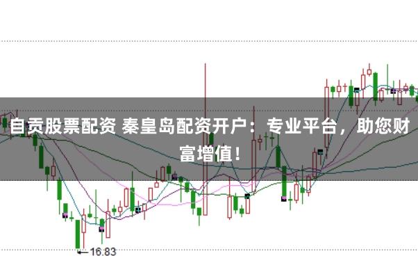 自贡股票配资 秦皇岛配资开户：专业平台，助您财富增值！