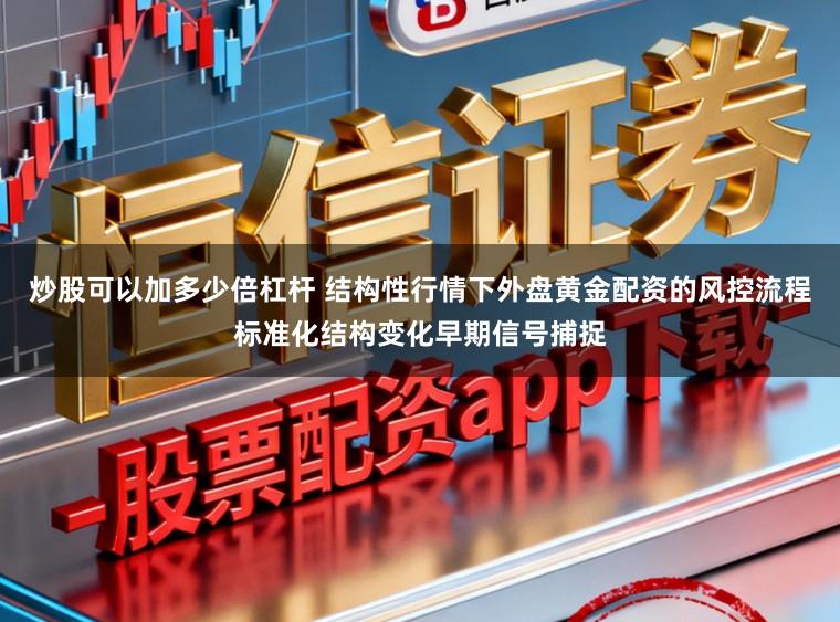炒股可以加多少倍杠杆 结构性行情下外盘黄金配资的风控流程标准化结构变化早期信号捕捉