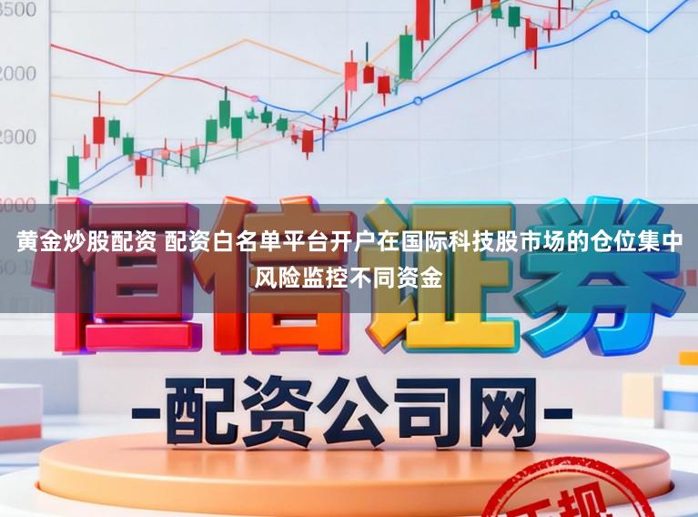黄金炒股配资 配资白名单平台开户在国际科技股市场的仓位集中风险监控不同资金