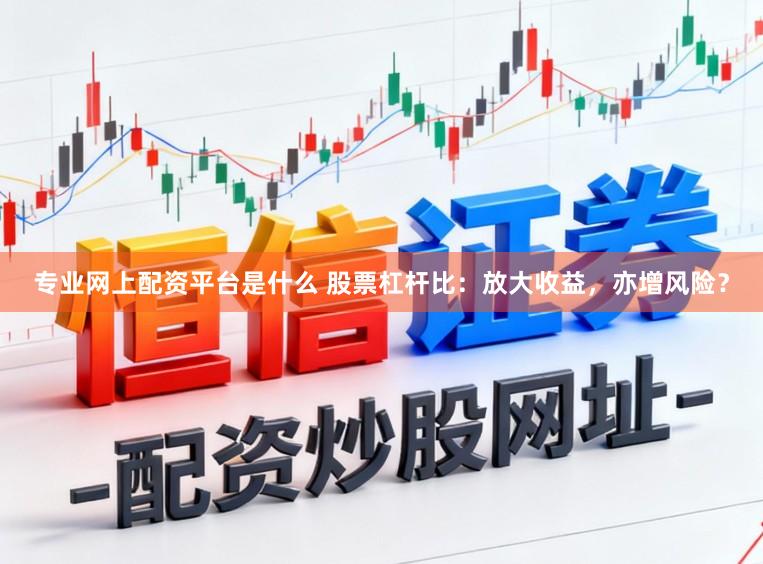 专业网上配资平台是什么 股票杠杆比：放大收益，亦增风险？